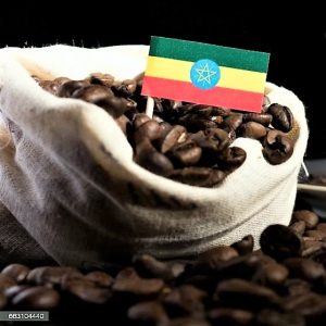 Moka Sidamo