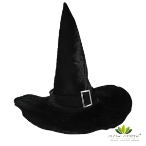 Location chapeau de sorcière