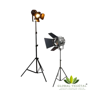 Location de projecteur de cinéma
