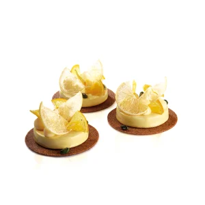 Moule Pavoni Rond PX4334S