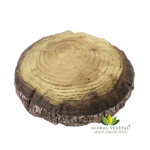 Location de souche d&rsquo;arbre